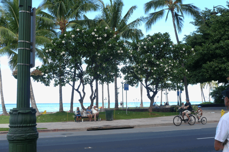 e0157816_1231212.gif