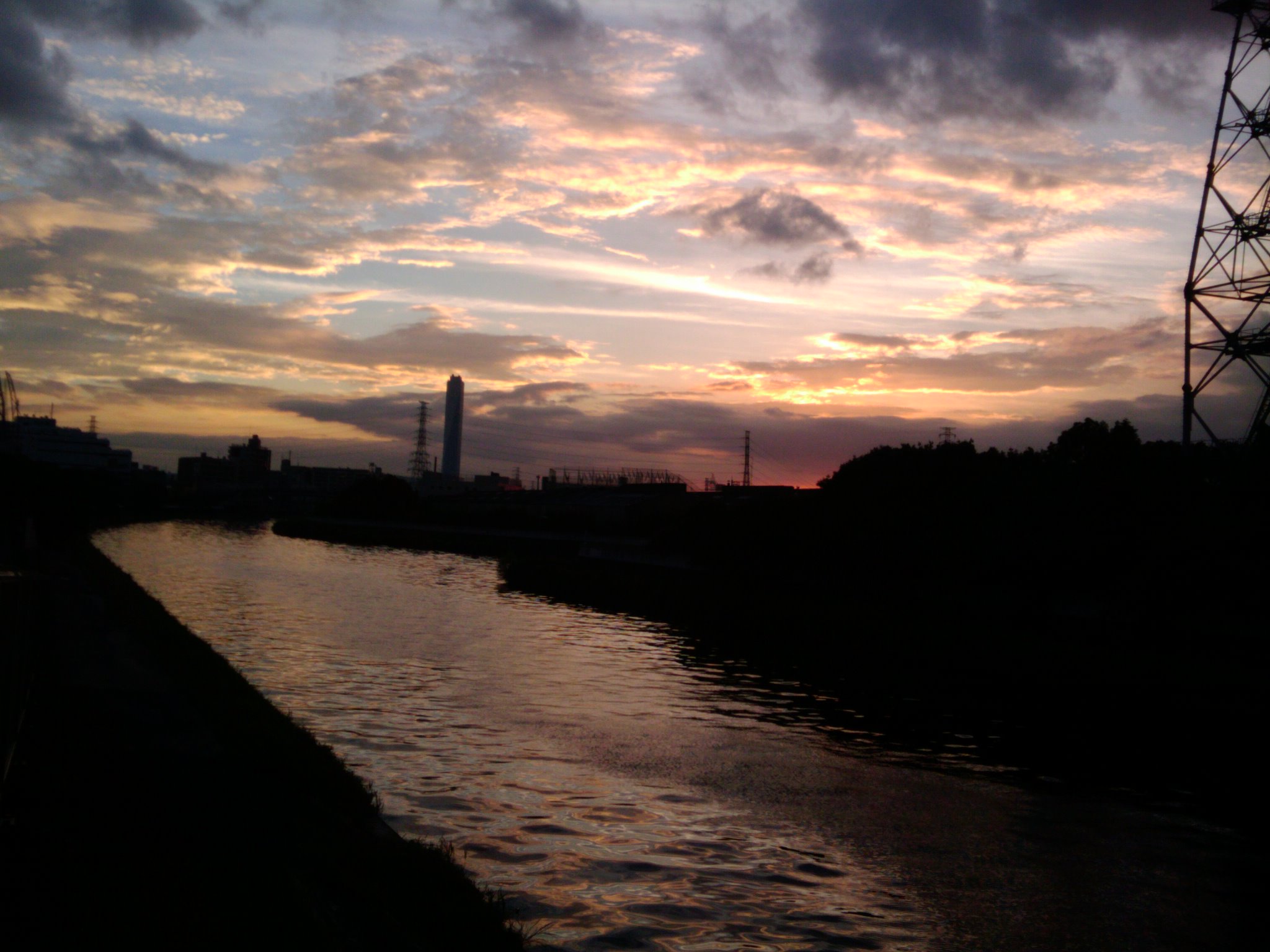 d0119217_2257379.jpg