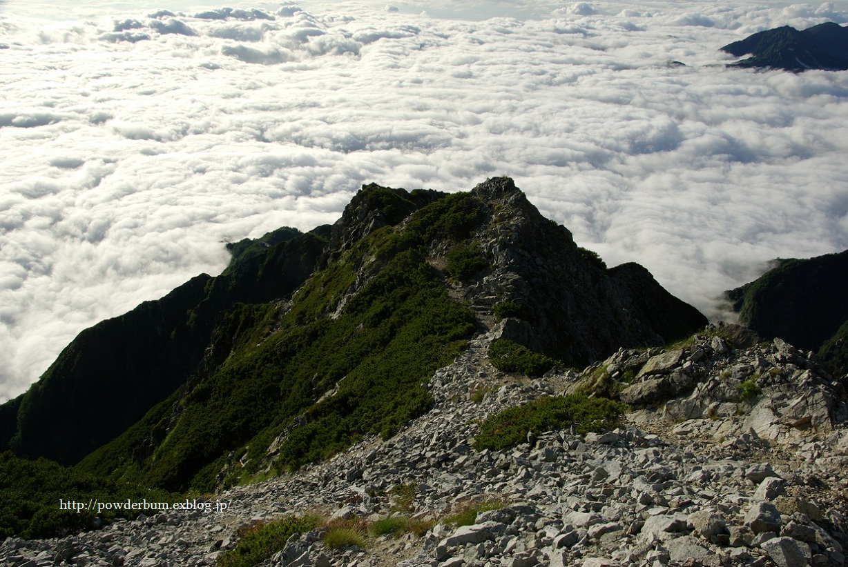b0062024_10422552.jpg