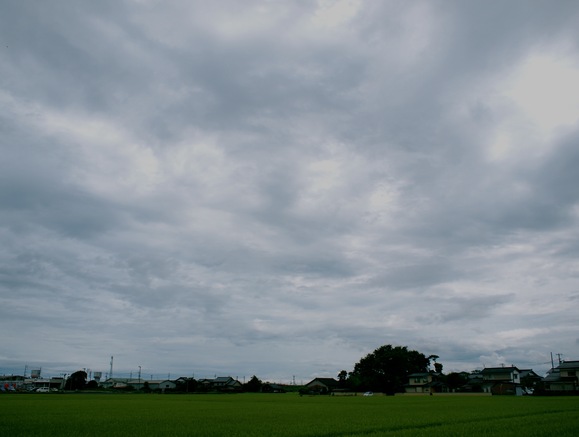 d0130826_21213528.jpg