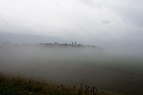 e0025030_80419.jpg