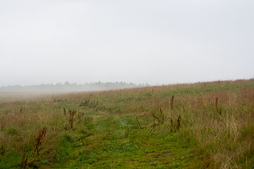 e0025030_80725.jpg