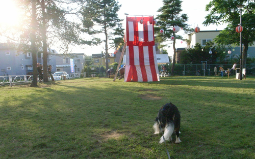 c0051132_21592457.jpg