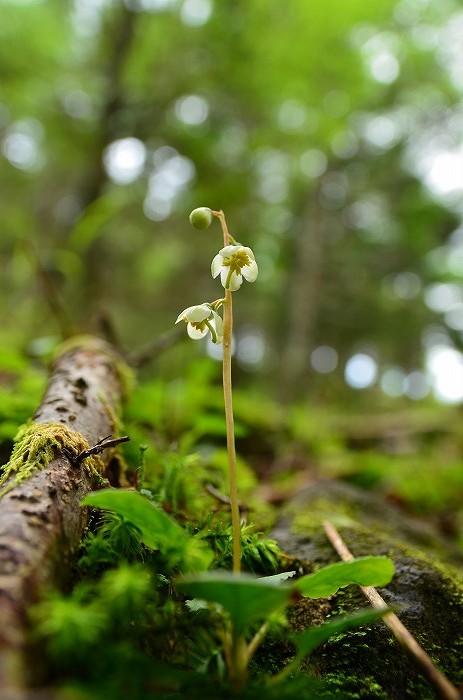 b0236334_933371.jpg