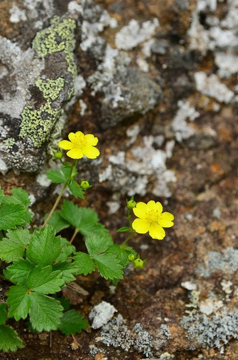 b0236334_933971.jpg