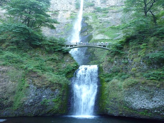 c0077835_3345190.jpg