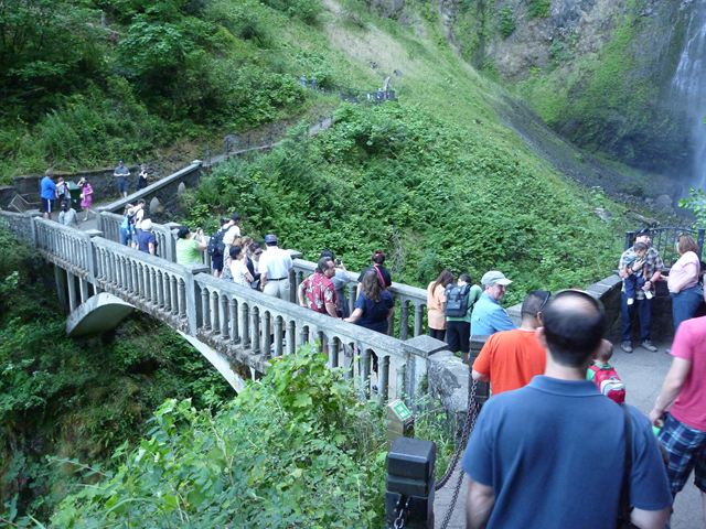 c0077835_335961.jpg