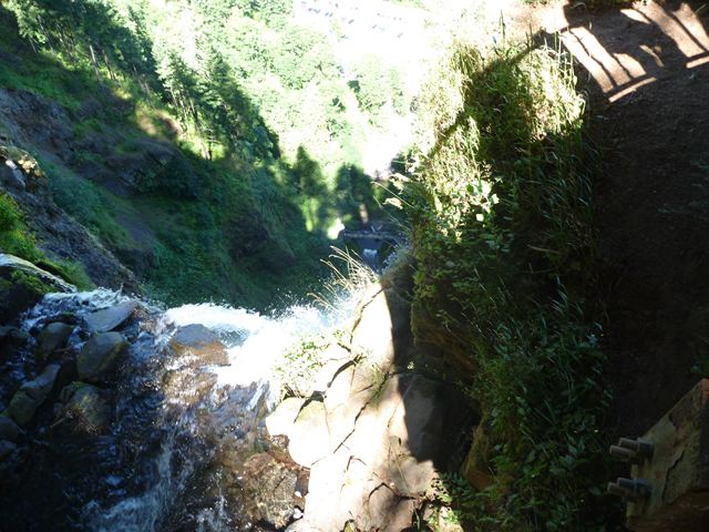 c0077835_3384334.jpg