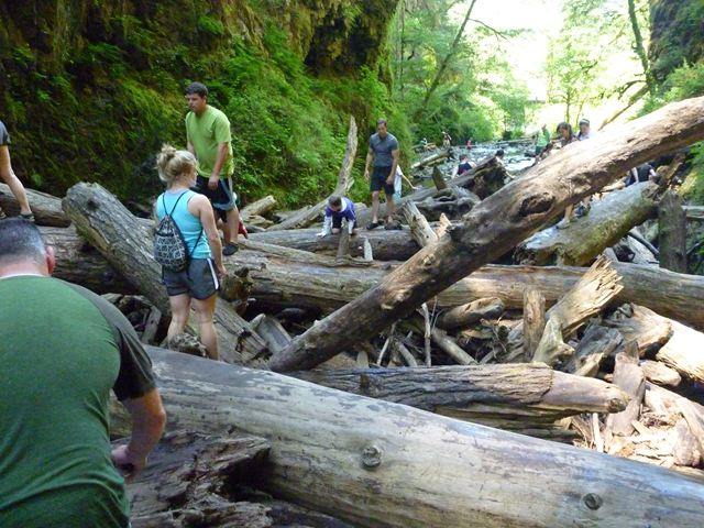 c0077835_353544.jpg