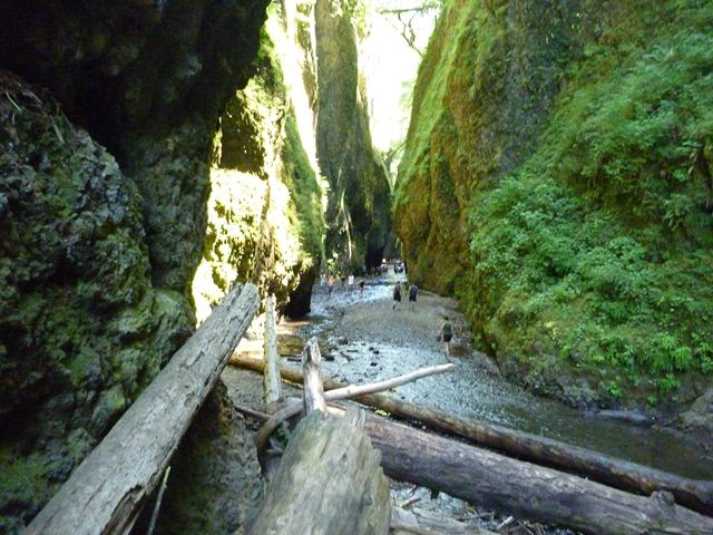 c0077835_354457.jpg