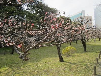 e0291638_1043083.jpg