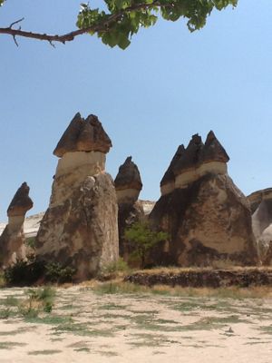 e0210347_11192239.jpg