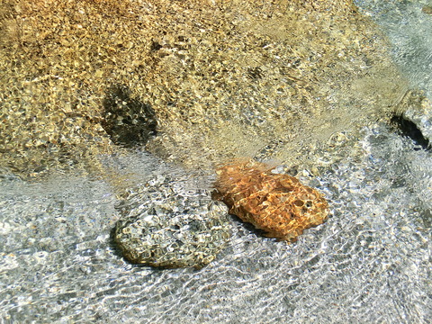 d0212451_22425115.jpg