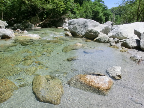 d0212451_2243285.jpg