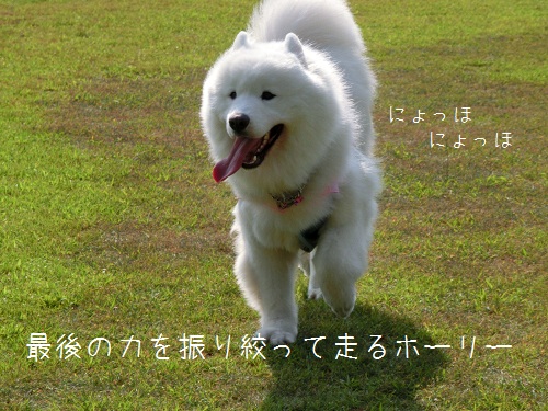 a0166954_0402276.jpg