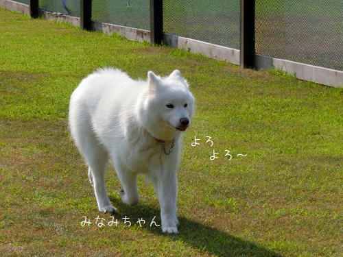 a0166954_0463293.jpg