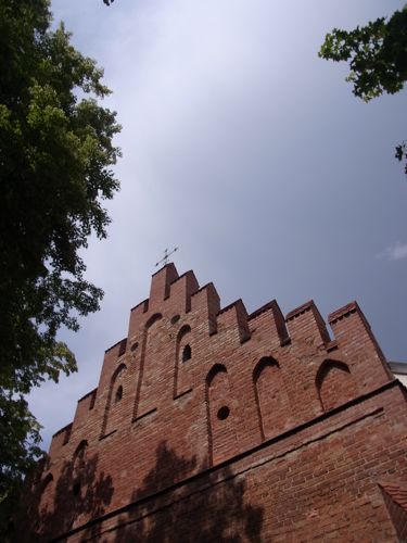 d0005157_16111491.jpg