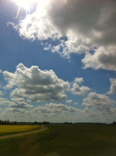 d0005157_16325220.jpg