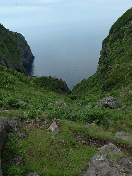 f0149057_22142240.jpg