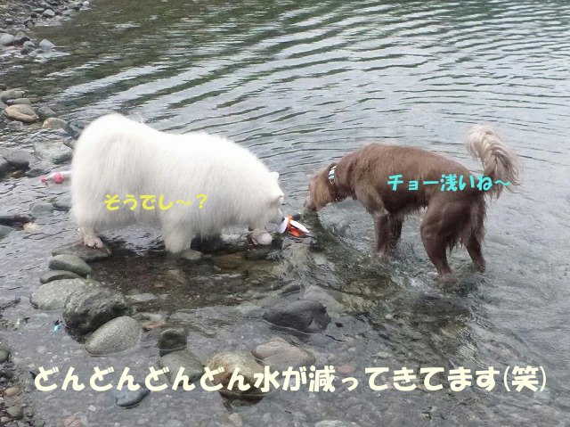 e0176159_21181728.jpg