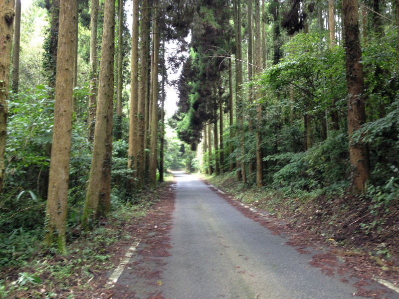 b0078370_2257111.jpg