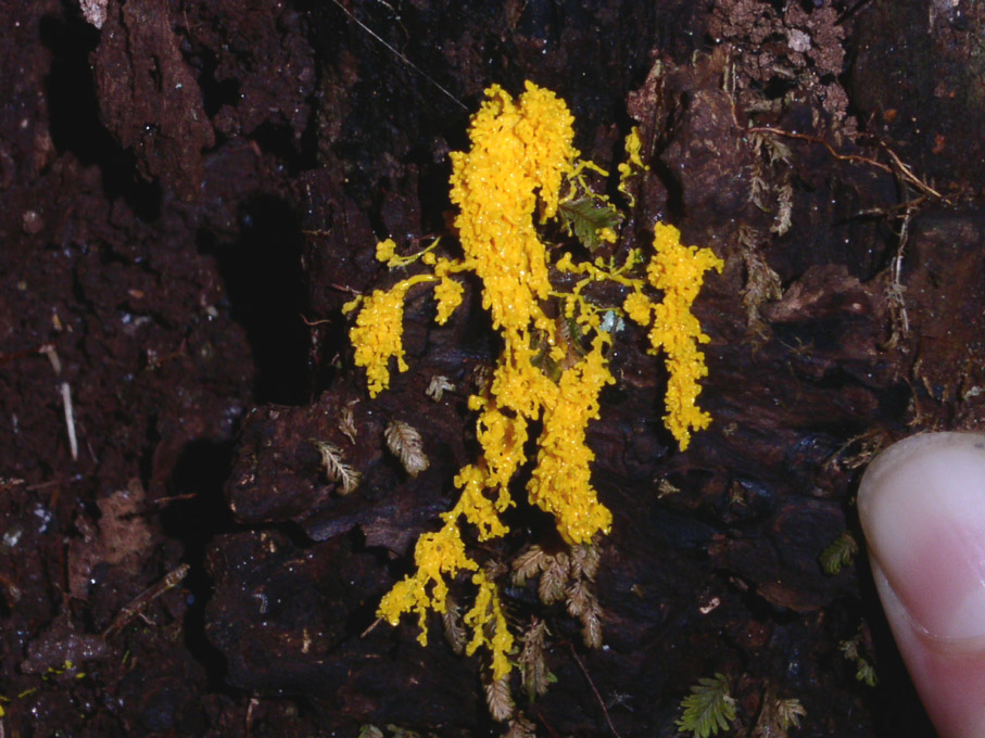 e0118274_20281327.jpg