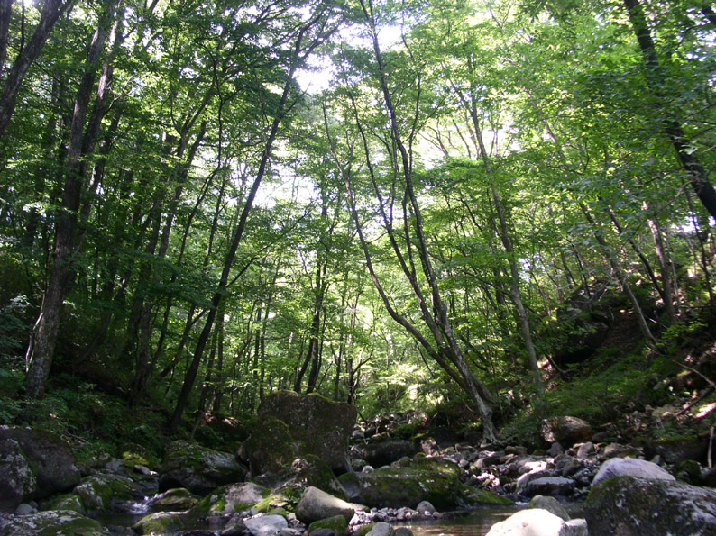 e0118274_205261.jpg
