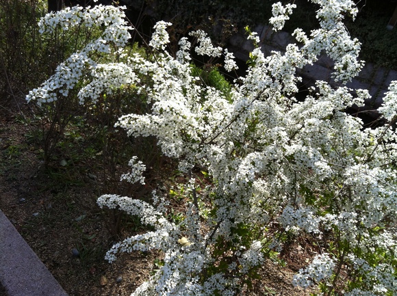 b0174284_2563849.jpg