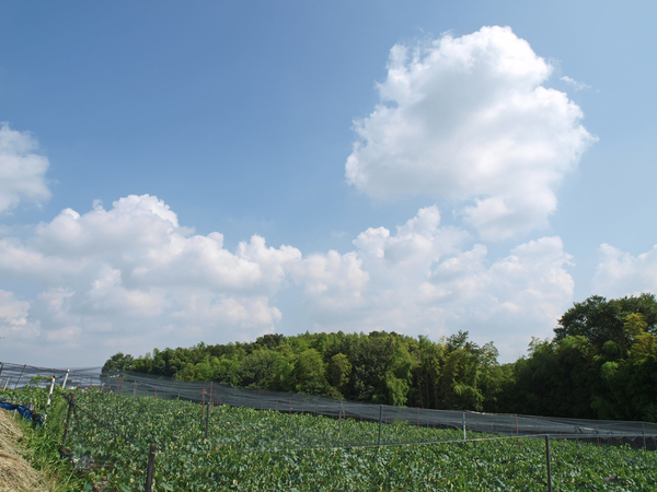 d0230486_11105851.jpg