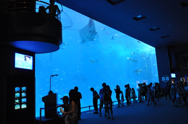 a0045688_23364870.jpg