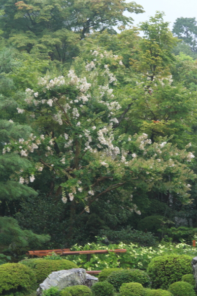 e0051888_1938219.jpg