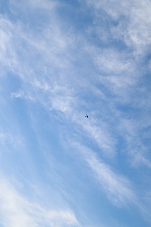 c0096393_01020.jpg
