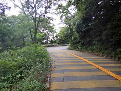 b0108100_17583786.jpg