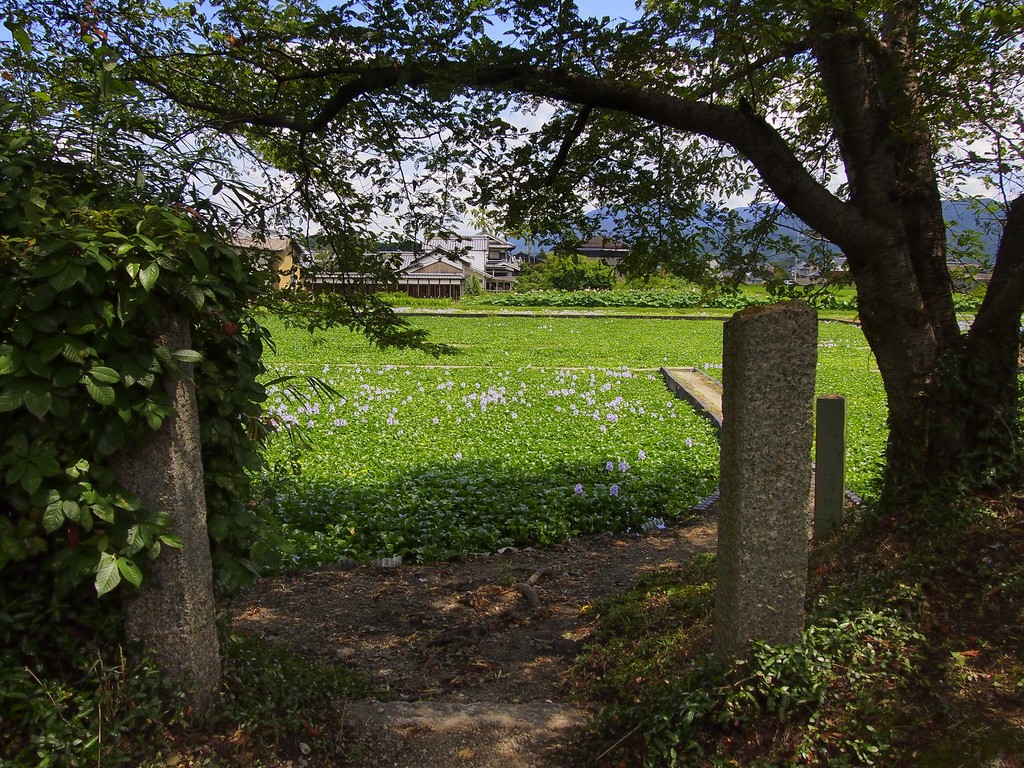 b0138101_22131043.jpg