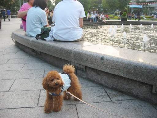 c0110906_1241411.jpg