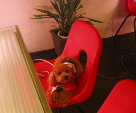 c0110906_12425830.jpg