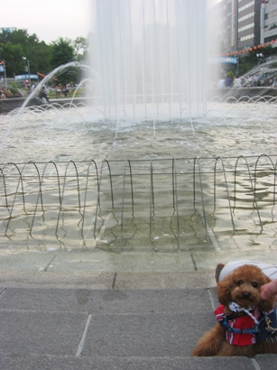 c0110906_13277.jpg