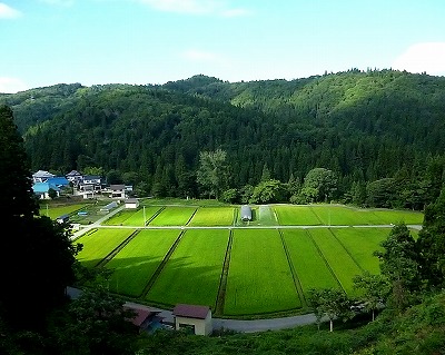 b0218008_14485097.jpg