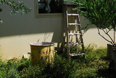e0128909_1018562.jpg