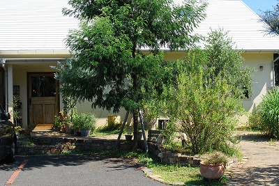 e0128909_958356.jpg