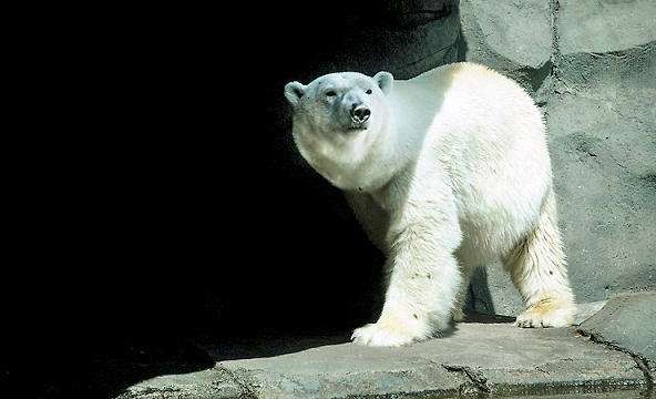 a0151913_17511457.jpg