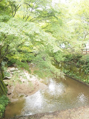 b0187514_757914.jpg
