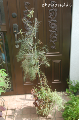 f0217217_1650393.jpg