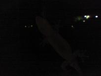 c0097620_23304882.jpg