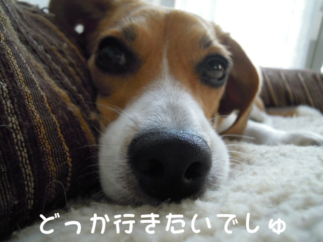 c0166622_12273044.jpg