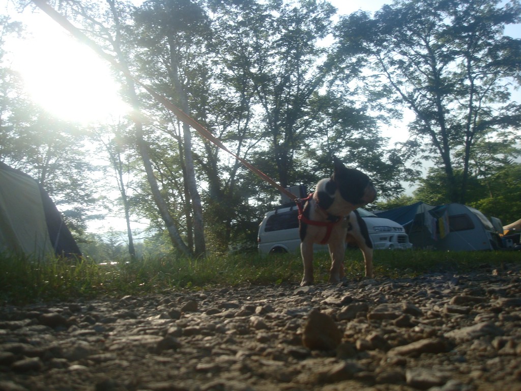 e0285723_1741871.jpg