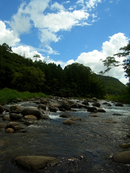 f0103126_22342265.jpg