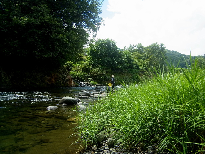 f0103126_2236577.jpg