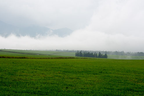 e0025030_912542.jpg