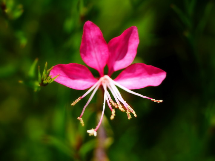 d0241937_17534797.jpg